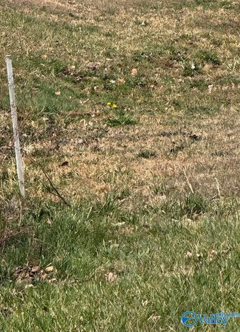 376 Charley Patterson Road, New Market, AL 35761