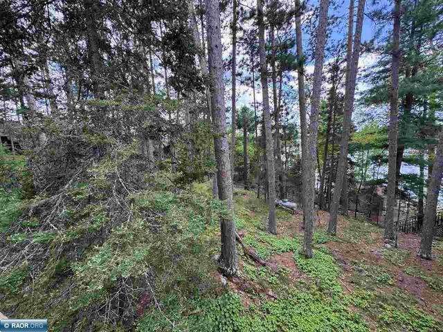 3069 Black Bay Road, Cook, MN 55723