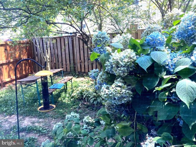 7427 GRACE ST, Springfield, VA 22150