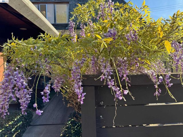 1233 Belknap Ct, Cupertino, CA 95014