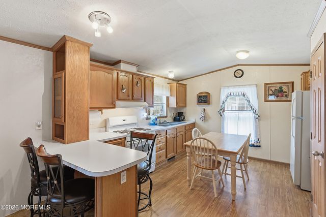 12 Lace Bark Lane, Jackson, NJ 08527