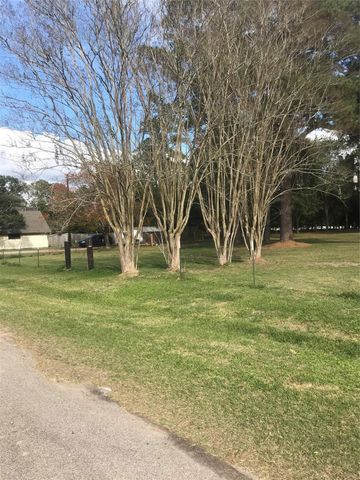 538 Lesa Lane, Spring, TX 77373