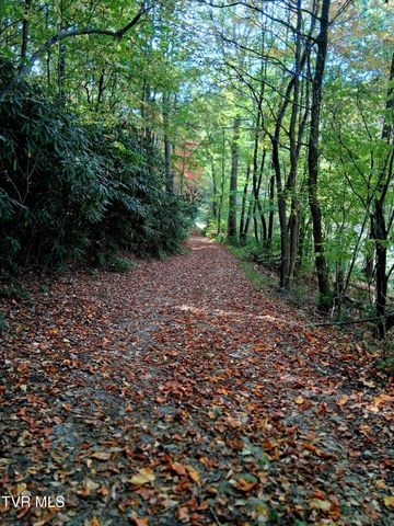 150 Wellman Road, Elizabethton, TN 37643