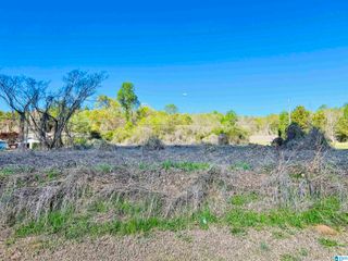0 HIGHWAY 79, Blountsville, AL 35031