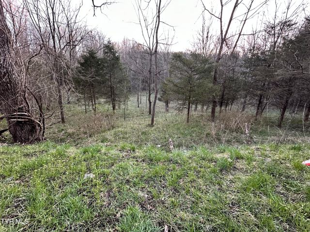 Tbd Cassells Chapel Road, Dungannon, VA 24245