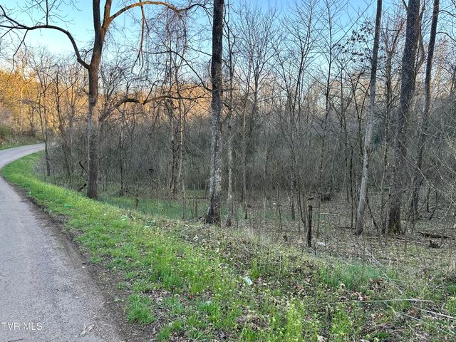 Tbd Cassells Chapel Road, Dungannon, VA 24245