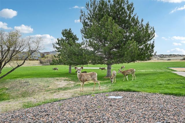 24081 E Royal Meadows Avenue, Parker, CO 80138