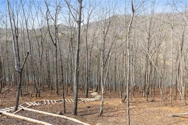 64 Mathieson Point, Jasper, GA 30143