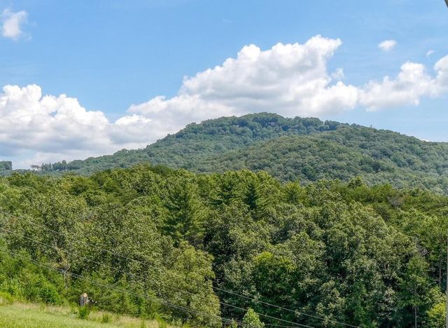 1538 Greenfield Road, Ellijay, GA 30536