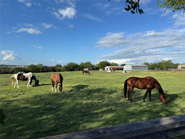 7113 Cromarty CV, Austin, TX 78754