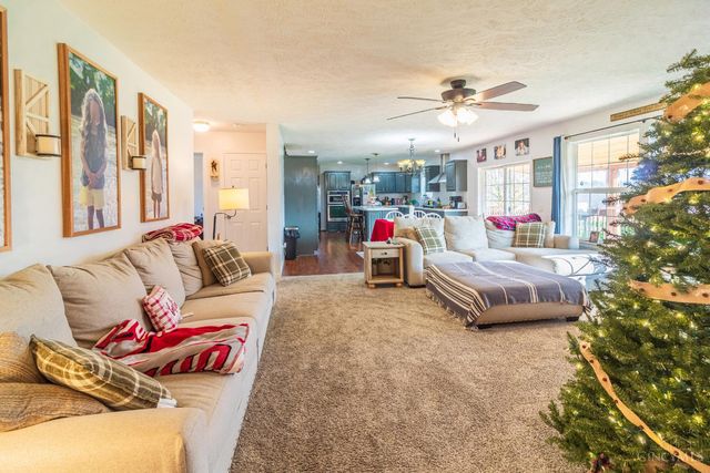 1460 Hamilton Road, Lynx, OH 45665