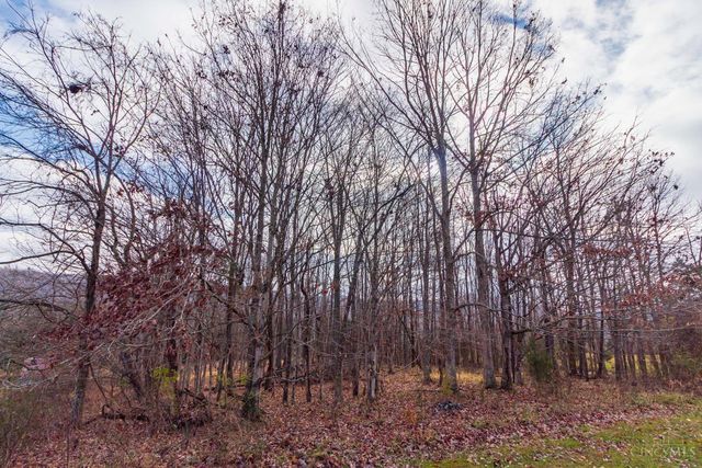 1460 Hamilton Road, Lynx, OH 45665