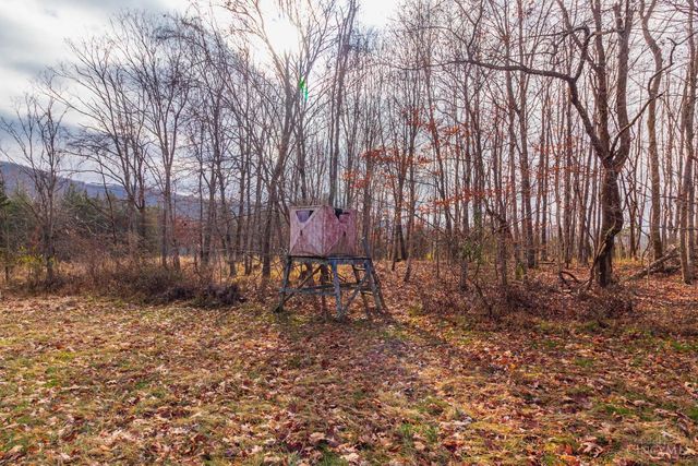 1460 Hamilton Road, Lynx, OH 45665