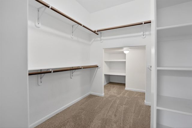 25315 Terrain Park Drive, Spring, TX 77373