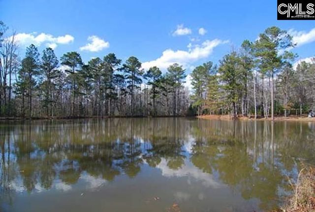 211 Stonington Drive, Blythewood, SC 29016