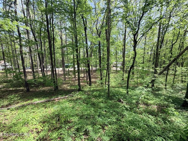 549 Yellow Cliff Estates Rd, Jamestown, TN 38556