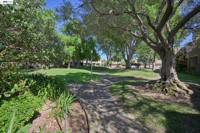 3201 Phoenix Ln, Alameda, CA 94502