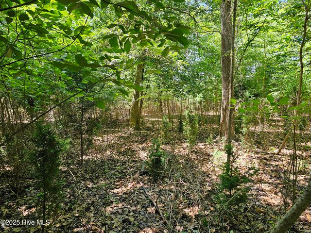 10 Peninsula Shores Way, Hertford, NC 27944