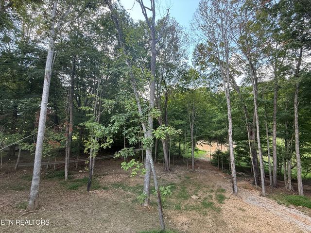 224 Pattie Gap Rd, Philadelphia, TN 37846