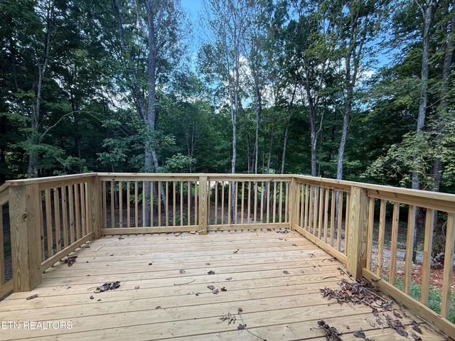 224 Pattie Gap Rd, Philadelphia, TN 37846