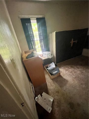 13805 Earlwood Road, Cleveland, OH 44110