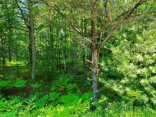 0 Hillside Drive, Alger, MI 48610