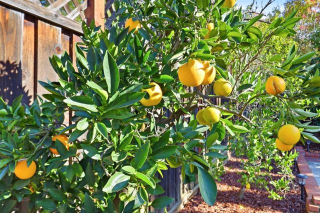 5948 Garlough Drive, San Jose, CA 95123