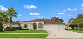 441 RIO VISTA COURT, Spring Hill, FL 34608