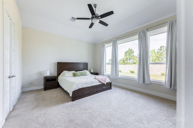 29006 Windy Court, Fulshear, TX 77441