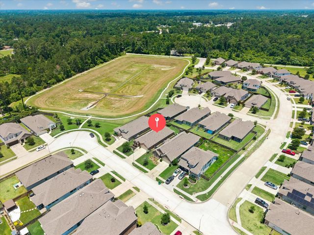11442 Liger Drive, Tomball, TX 77375