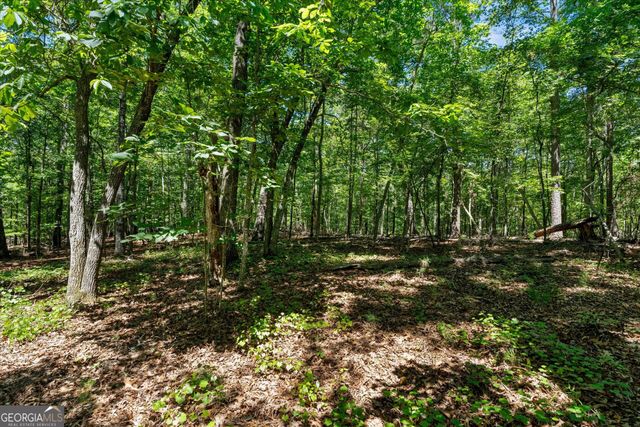 7448 Berea Road, Winston, GA 30187