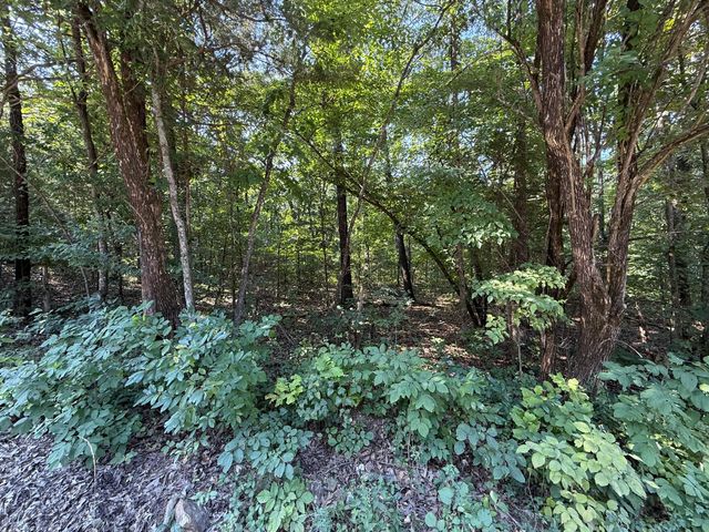 16 +- Ac Spring Valley Road, Shell Knob, MO 65747