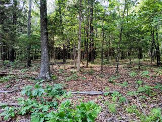 Taylor Barnett Road, Garfield, AR 72732
