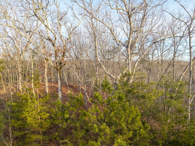 L156&157 Harris Creek Drive, Ellijay, GA 30540
