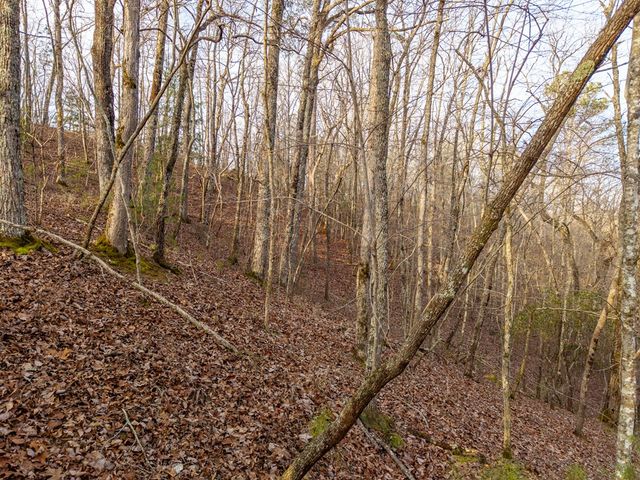 L156&157 Harris Creek Drive, Ellijay, GA 30540