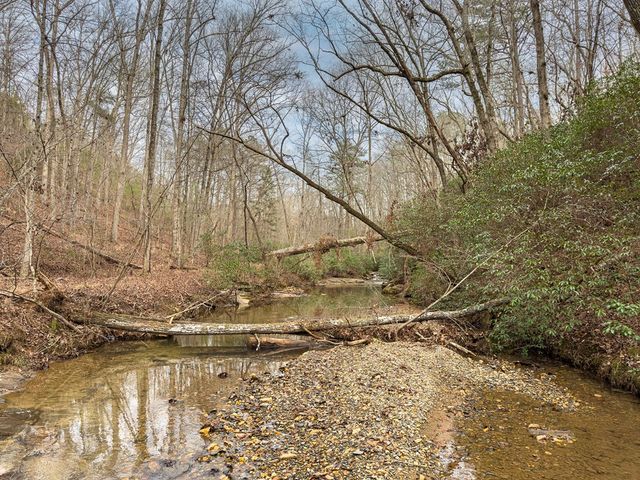 L156&157 Harris Creek Drive, Ellijay, GA 30540