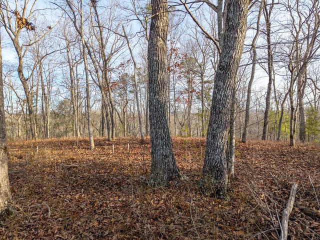 L156&157 Harris Creek Drive, Ellijay, GA 30540