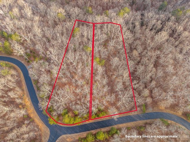 L156&157 Harris Creek Drive, Ellijay, GA 30540