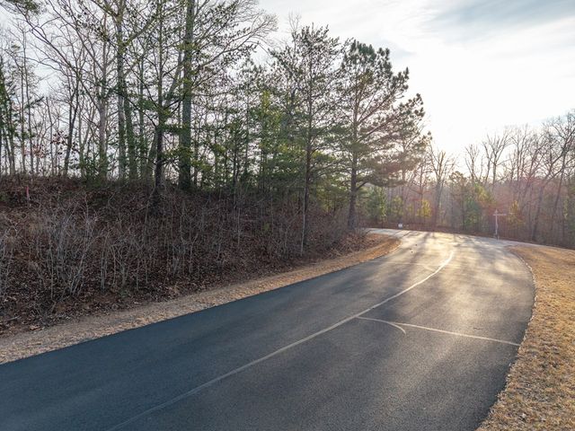 L156&157 Harris Creek Drive, Ellijay, GA 30540