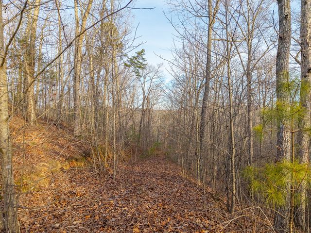 L156&157 Harris Creek Drive, Ellijay, GA 30540