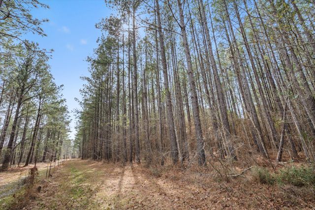 3305 Purvis To Columbia Rd., Lumberton, MS 39455