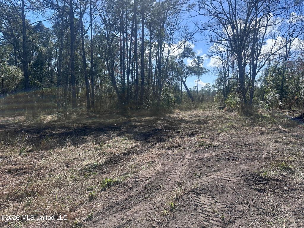 Orange Grove Road, Moss Point, MS 39562