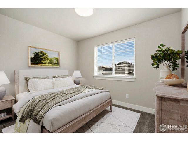 1753 Avery Plaza St, Severance, CO 80550