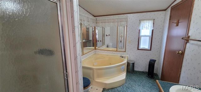 38 Trails, Chester, IL 62233