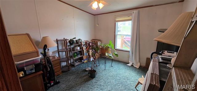 38 Trails, Chester, IL 62233