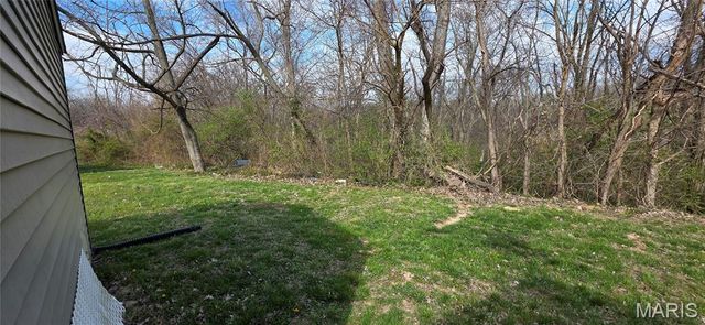 38 Trails, Chester, IL 62233