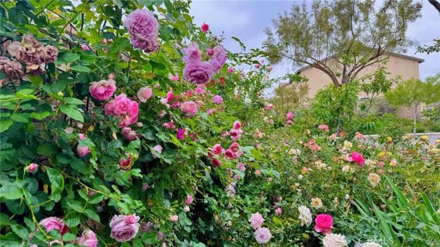 16817 Morning Dew Lane, Fontana, CA 92336