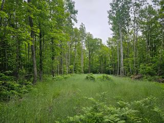 0000 280th Place, Glen Twp, MN 56431