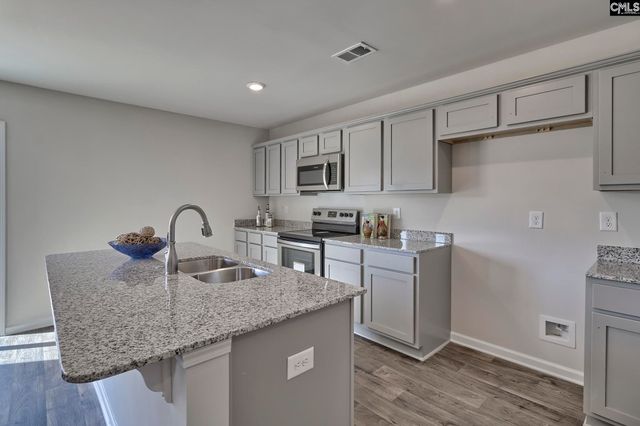 177 Calm Citadel Drive, Pelion, SC 29123