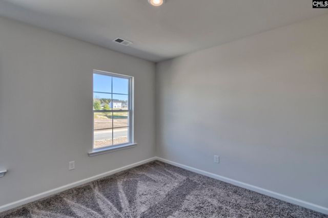 177 Calm Citadel Drive, Pelion, SC 29123